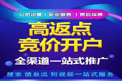 某企业通过SEM实现品牌与销售双增长的案例